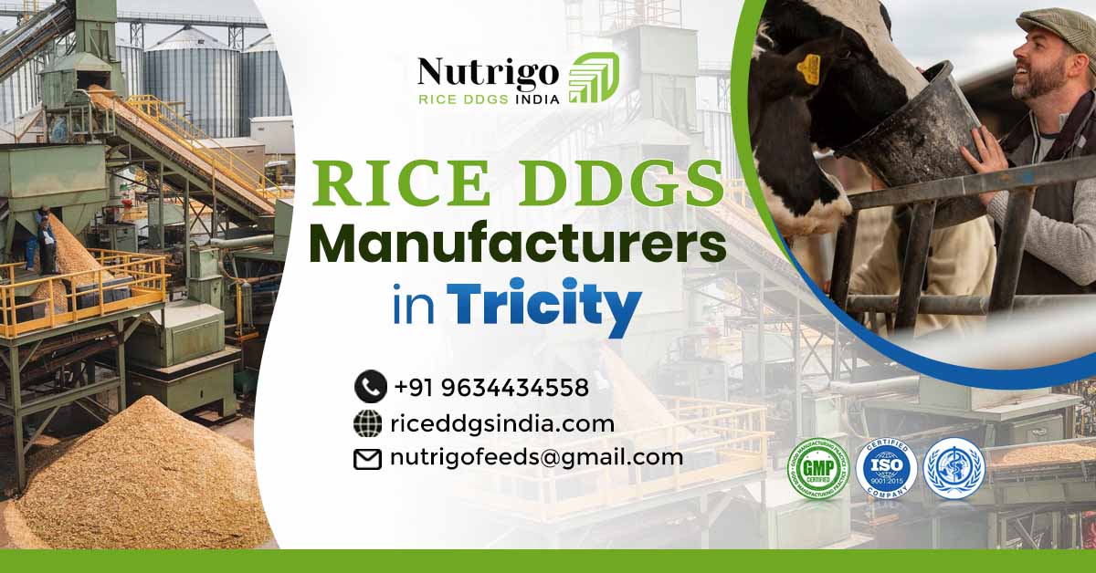 Why Should You Choose Rice DDGs for Animal Feed in Tricity?