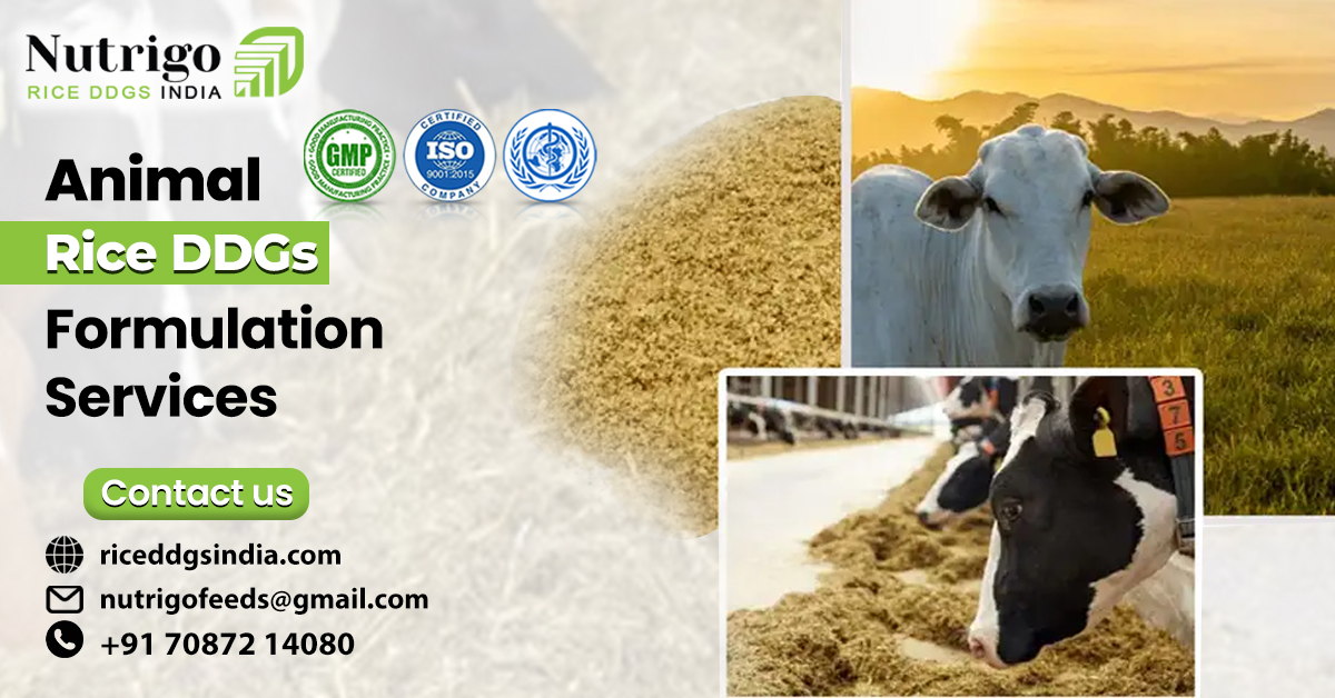 Animal Rice Formulation Services Experts