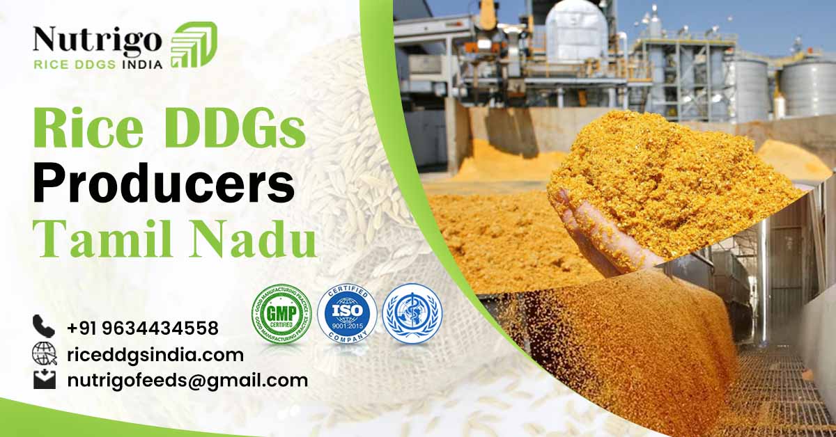 Rice DDGS Producers in Tamil Nadu