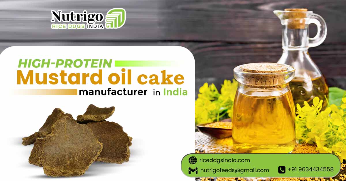 Mustard oil cake manufacturer in India