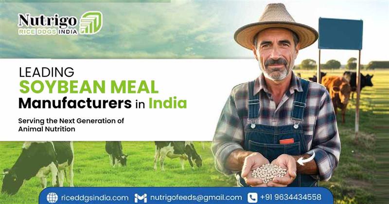 Soybean Meal Manufacturers in India