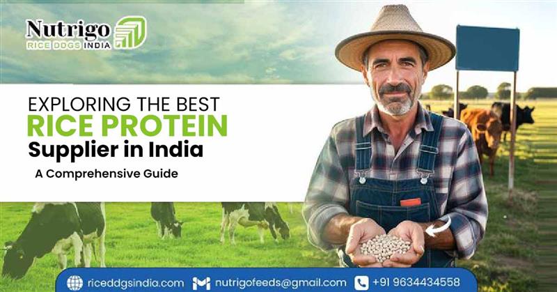 Rice Protein Supplier in India