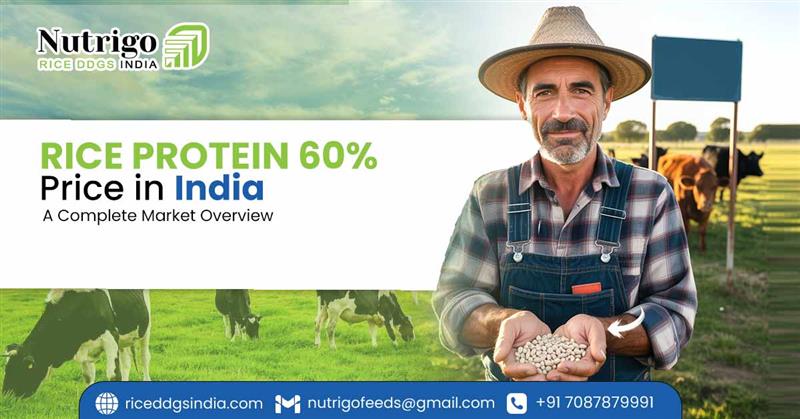 Rice Protein 60% Price