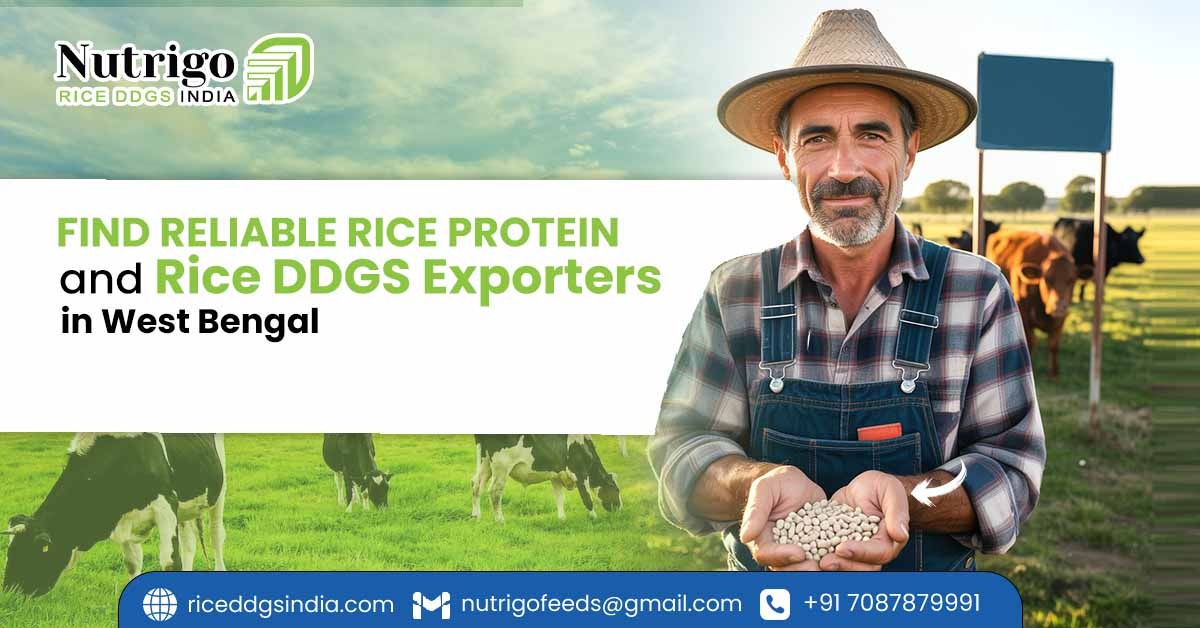 rice protein exporters in West Bengal
